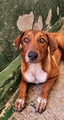NUKA Imagen 1